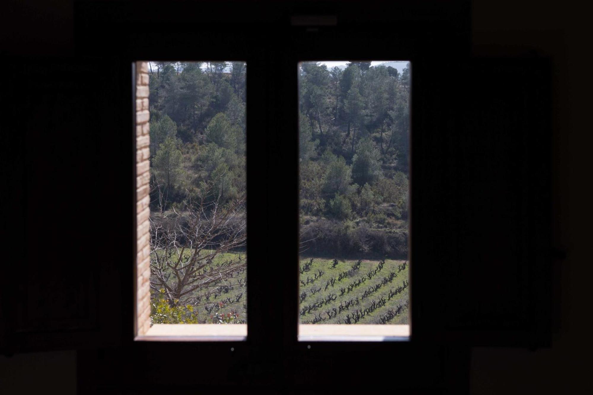 Casa Rural Masia Les Apieres El Pla de Manlleu Rom bilde